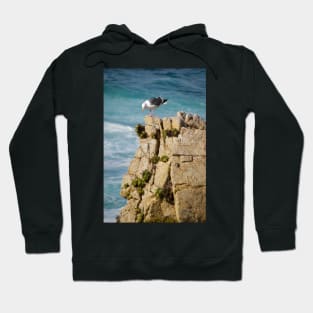 Seagull on Rocks Hoodie